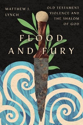 Flood and Fury (Paperback)