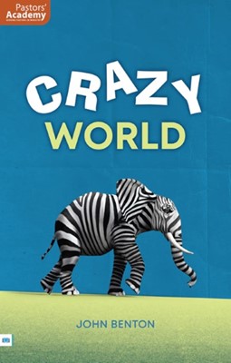 Crazy World (Paperback)