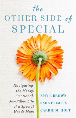 The Other Side Of Special (Paperback)