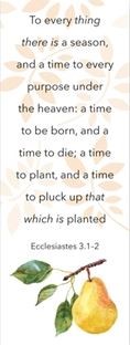 To Every Thing There is a Season Ecclesiastes 3:1-2 Bookmark (Bookmark)