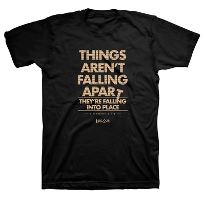 Things Falling Apart T-Shirt, 2XLarge (General Merchandise)