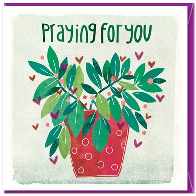 Praying for you Greetings Card (Cards)