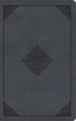 ESV Large Print Thinline Bible, Azurite Blue (Imitation Leather)