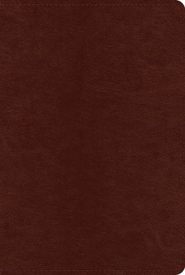 ESV Systematic Theology Study Bible (Imitation Leather)