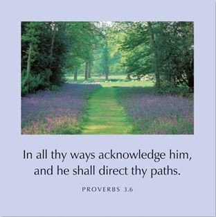 In All Thy Ways Acknowledge Him-Proverbs 3:6 Greetings Cards (Cards)