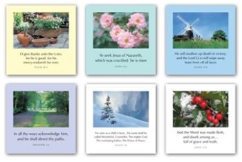 K series (mixed pack of 6) Greetings Cards (Cards)