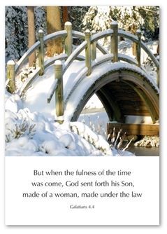 God Sent Forth His Son - Galatians 4:4 Greetings Cards (Cards)