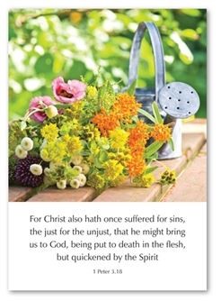 Christ Also Hath Once Suffered For Sins - 1 Peter 3:18 Cards (Cards)