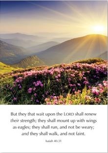 But They That Wait Upon the LORD - Isaiah 40:31 Cards (Cards)
