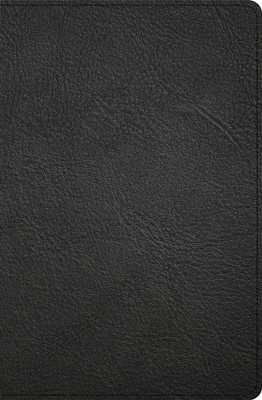 KJV Personal Size Giant Print Bible, Black Genuine Leather (Genuine Leather)