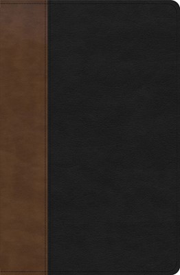 KJV Personal Size Giant Print Bible, Black/Brown (Imitation Leather)