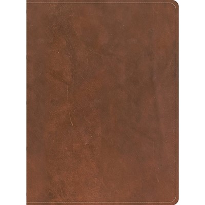 CSB Men's Daily Bible, Brown Genuine Leather, Indexed (Leather Binding)