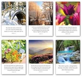 L series (mixed pack of 6) Greetings Cards (Cards)