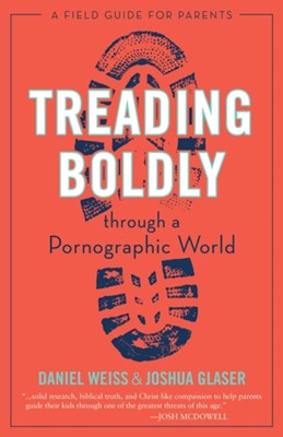 Treading Boldly Though a Pornographic World (Paperback)