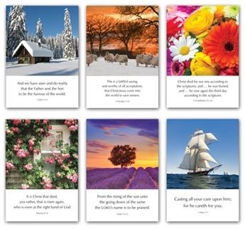 Greetings Cards - N series (mixed pack of 6) (Cards)