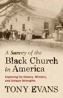 A Survey Of The Black Church In America (Paperback)