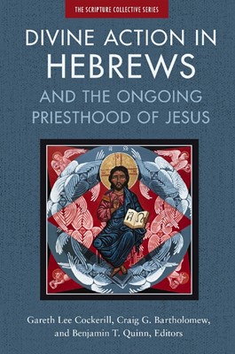 Divine Action In Hebrews (Paperback)
