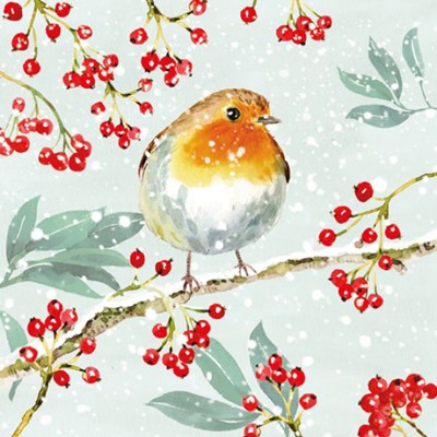 Christmas Cards: Robin & Berries (Pack Of 4) (Cards)