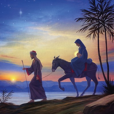 Compassion Charity Christmas Cards: Flight/Egypt (Pack Of 10 (Cards)