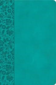 KJV Giant Print Reference Bible, Teal Leathertouch (Leather Binding)
