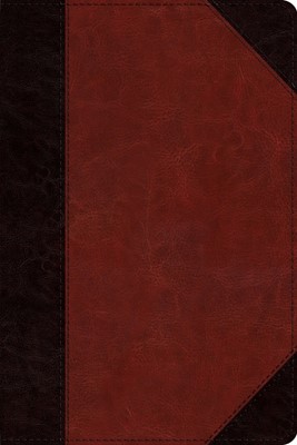 ESV Study Bible, Personal Size (Trutone, Brown/Cordovan, Por (Imitation Leather)