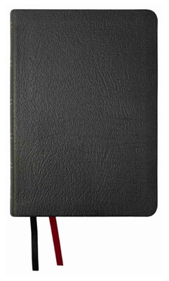 NASB 2020 Large Print Compact Bible, Black, Genuine Leather (Genuine Leather)