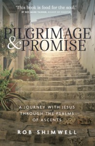 Pilgrimage and Promise (Paperback)