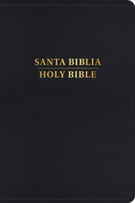 RVR 1960/Kjv Biblia BilingüE, Negro ImitacióN Piel (2024 Ed. (Hard Cover)