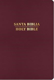 Rvr 1960/Kjv Biblia BilingüE Letra Grande, BorgoñA ImitacióN (Hard Cover)