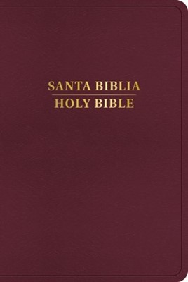 Rvr 1960/Kjv Biblia BilingüE, BorgoñA ImitacióN Piel (2024 E (Hard Cover)