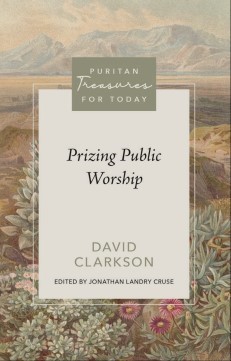 Prizing Public Worship (Paperback)