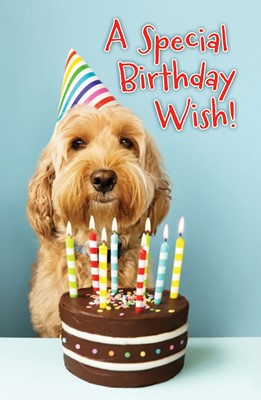 A Special Birthday Wish! Postcards (25 Pk) (Cards)