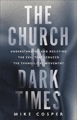 The Church In Dark Times (Paperback)