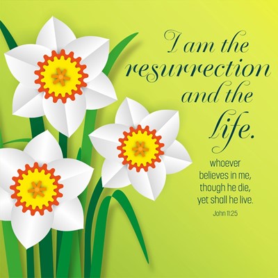 I Am The Resurrection Easter Cards (Pack of 5) (Cards)