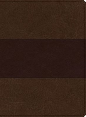 KJV Study Bible, Large Print Edition, Saddle Brown (Leather Binding)