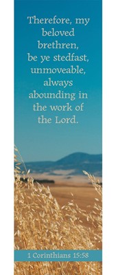 Inspirational Bookmark: Be Ye Stedfast (Package Of 25) (Bookmark)