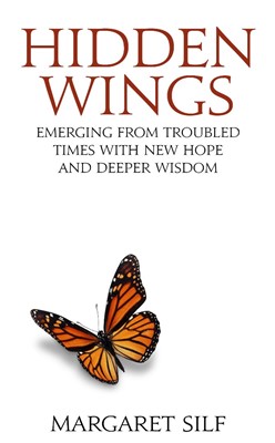 Hidden Wings (Paperback)