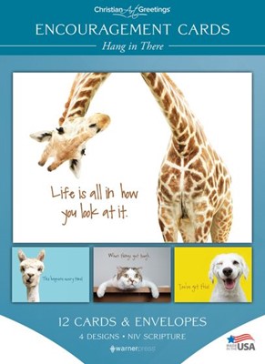 Boxed Cards - Encouragement - Hang In There (Cards)
