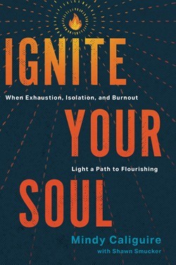 Ignite Your Soul (Paperback)