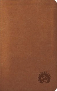 ESV Reformation Study Bible, Condensed Edition, Light Brown (Imitation Leather)