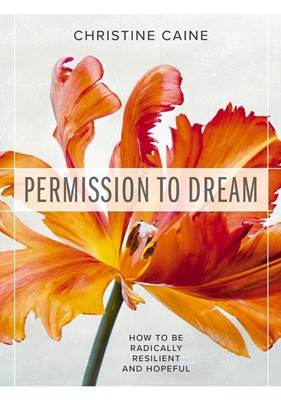 Permission to Dream (Paperback)