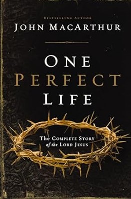 One Perfect Life (Paperback)