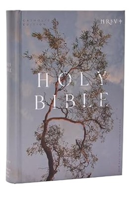 NRSV Catholic Edition Bible, Eucalyptus Hardcover (Hardback)