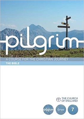 Pilgrim Book 7: The Bible (Pack of 25) (Multiple Copy Pack)