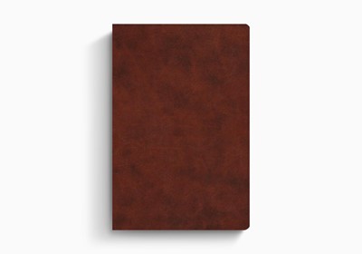 ESV Everyday Gospel Bible (Imitation Leather)