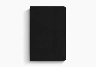 ESV Everyday Gospel Bible (Imitation Leather)