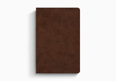 ESV Holy Bible: Dyslexia-Friendly Edition (Imitation Leather)