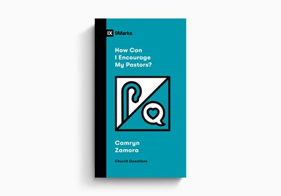 How Can I Encourage My Pastors? (Paperback)