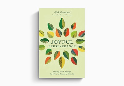 Joyful Perseverance (Paperback)