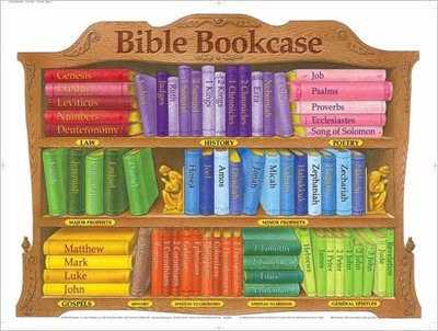 Bible Bookcase Chart (Laminated)  20x26 (Wall Chart)